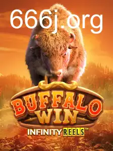 BuffaloWin